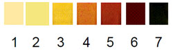 Oil Color Chart