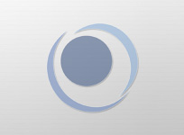 shop category Flanges