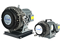 shop category Anest Iwata